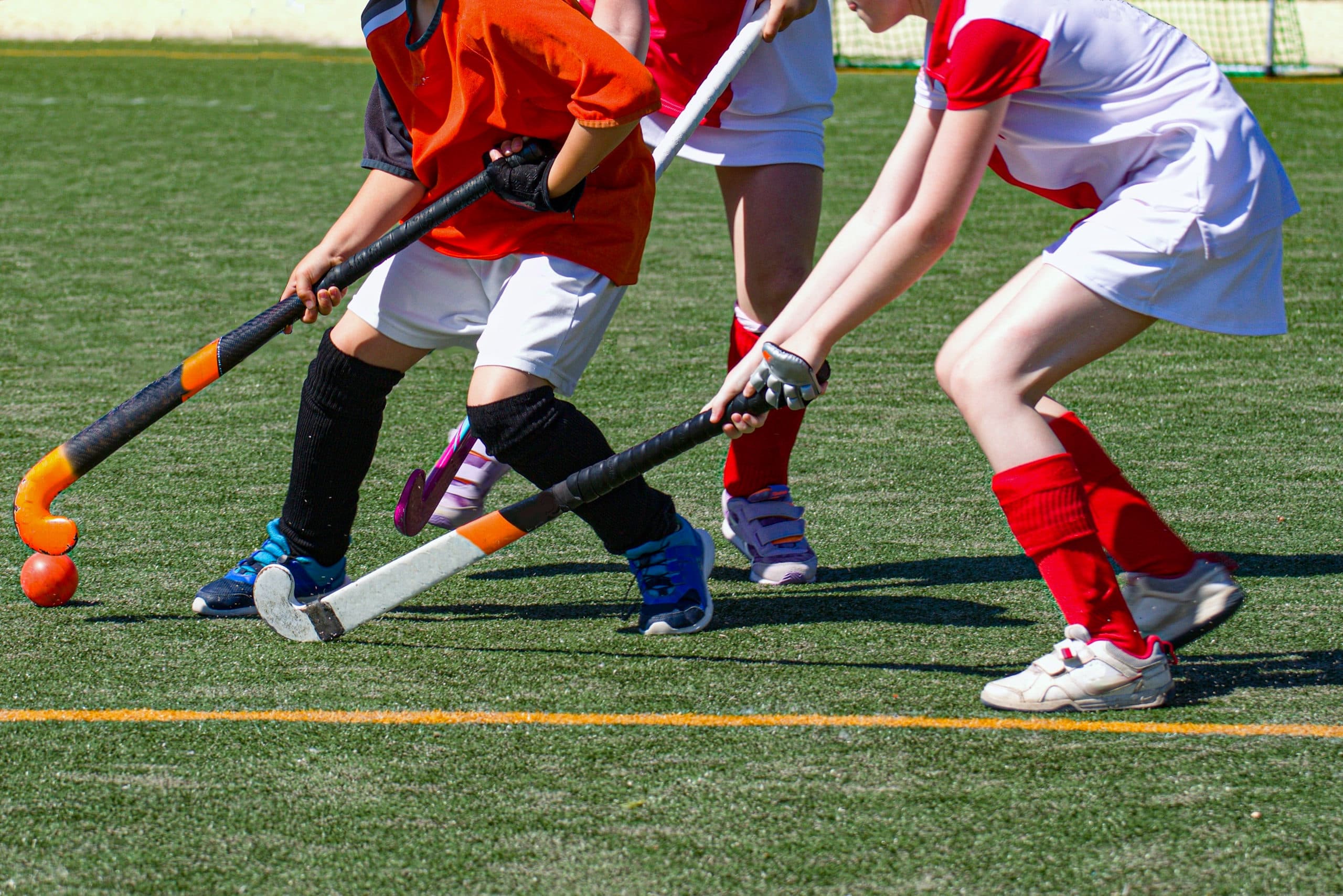 Hockey players in action